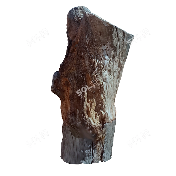 Natural Wood Tree Trunk Sculpture 3D model image 3