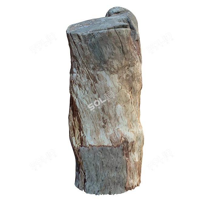 Natural Wood Tree Trunk Sculpture 3D model image 4