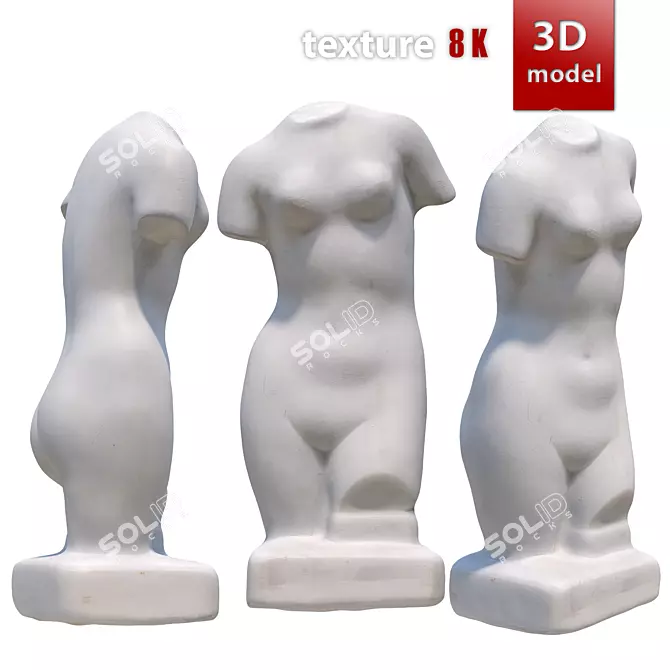 Gorgeous Venus Torso Sculpture 3D model image 1