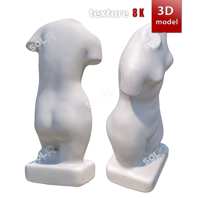 Gorgeous Venus Torso Sculpture 3D model image 2