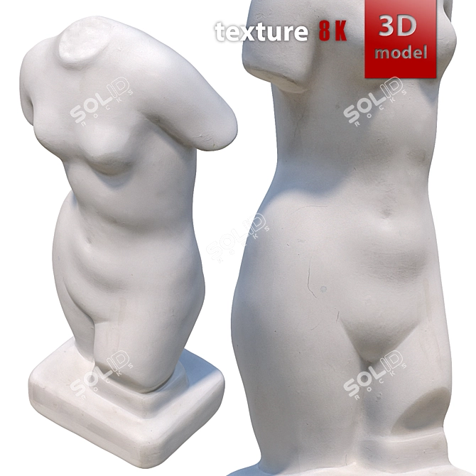 Gorgeous Venus Torso Sculpture 3D model image 3