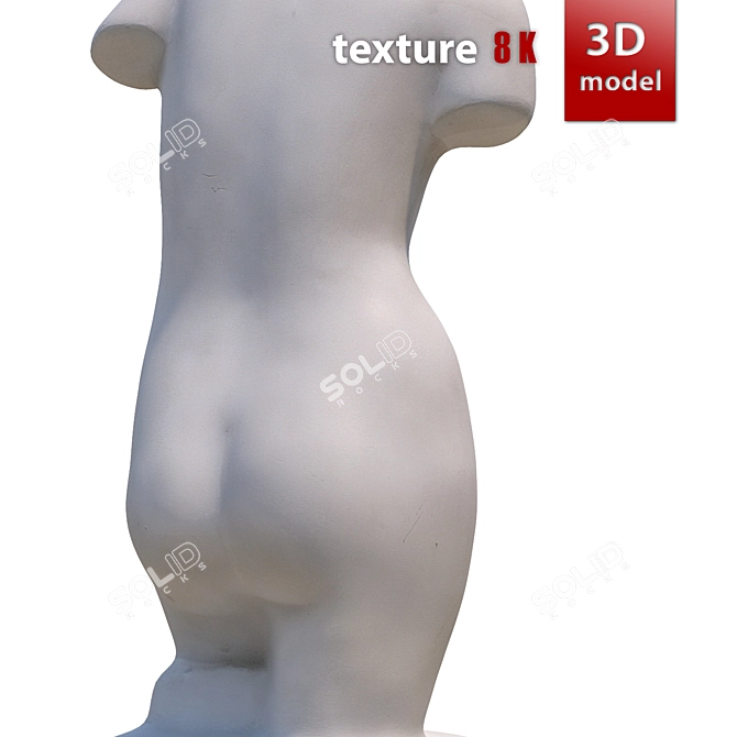 Gorgeous Venus Torso Sculpture 3D model image 4