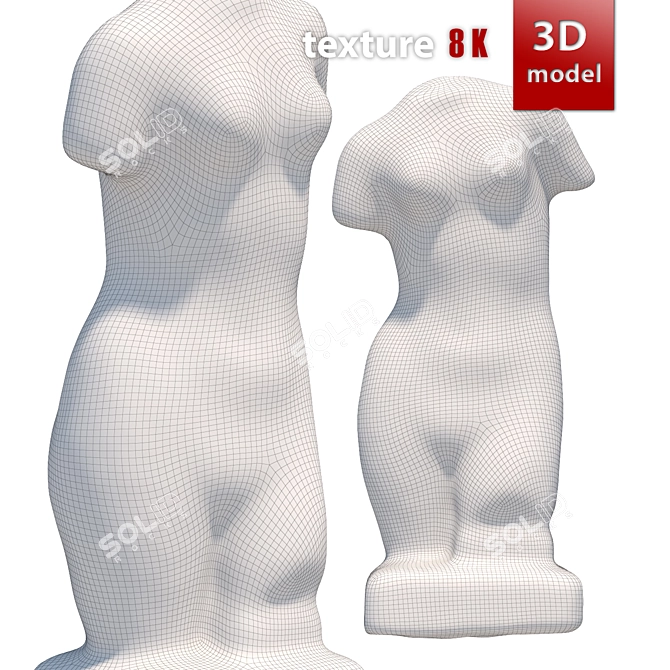 Gorgeous Venus Torso Sculpture 3D model image 5