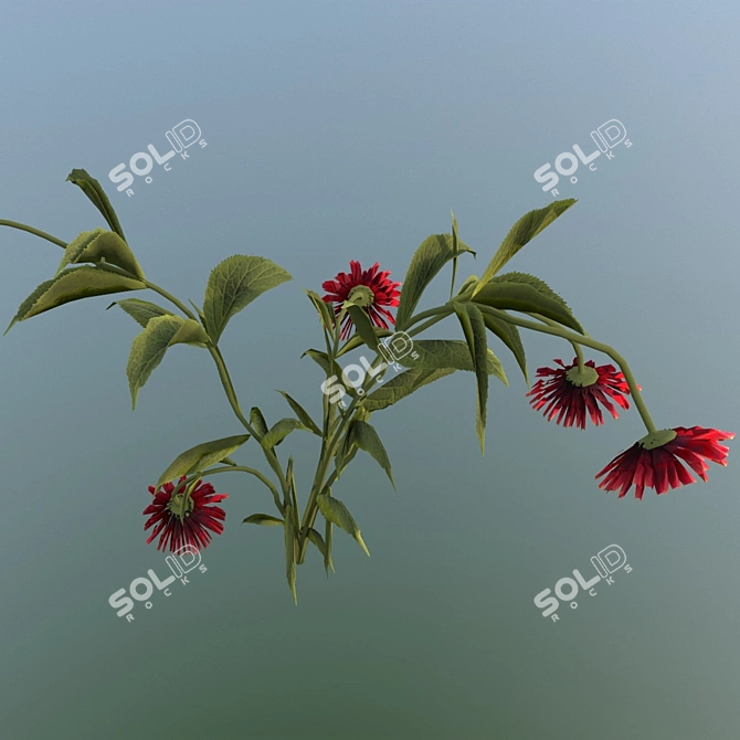 Thirsty Flower  3D Model for V-Ray 5 3D model image 4
