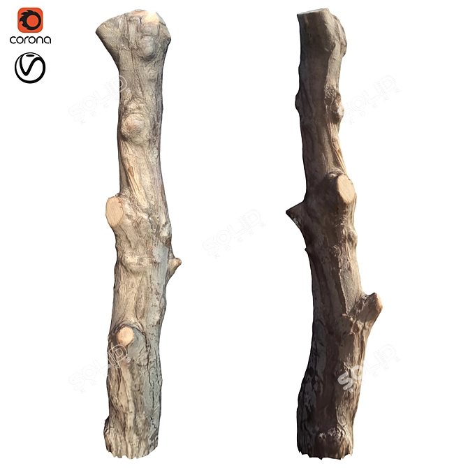 Natural Tree Trunk Decor 3D model image 1