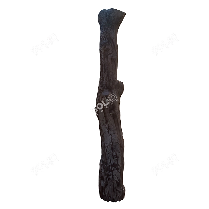 Natural Tree Trunk Decor 3D model image 3