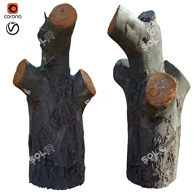 Natural Tree Trunk 40 3D model image 1