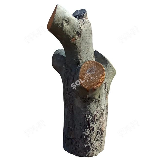 Natural Tree Trunk 40 3D model image 3