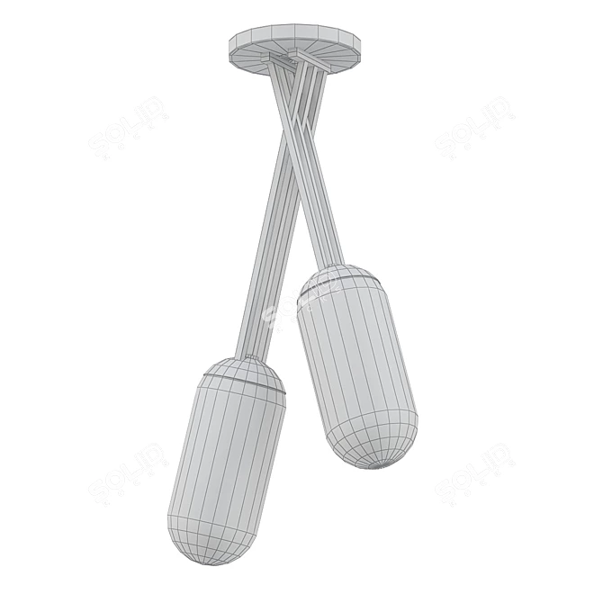 Palisade Double Pendant Light 3D model image 2