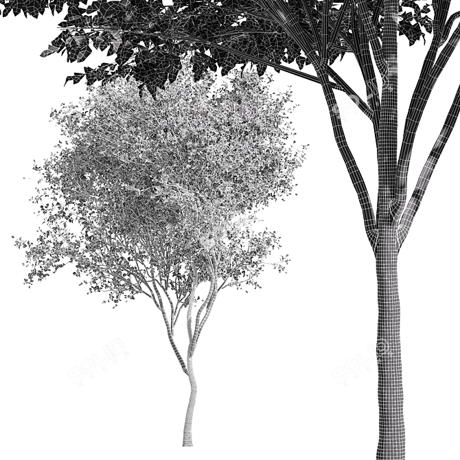Elegant Gray Alder Tree: 3D Model 3D model image 6