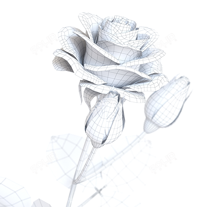 Elegant Bringham Vases with Rose 3D model image 4