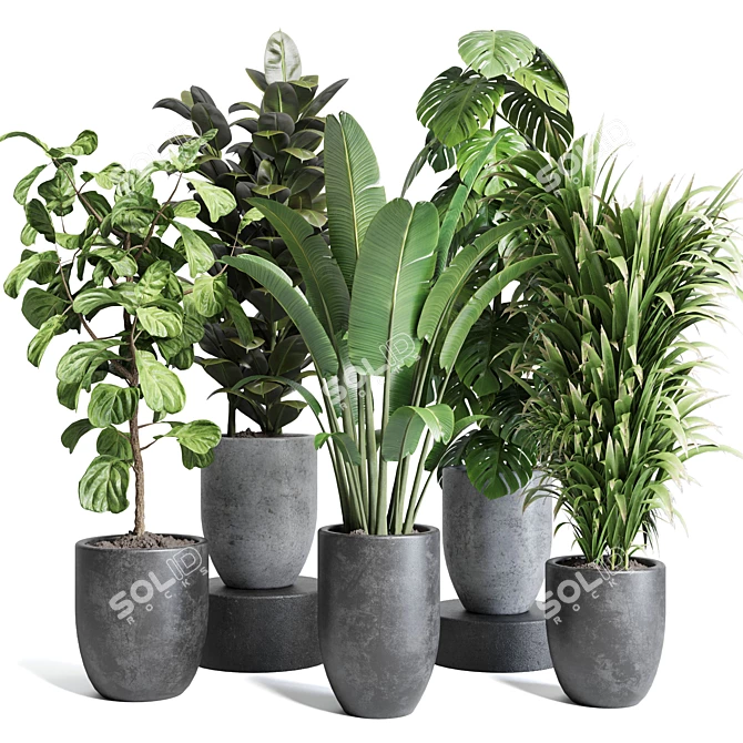 129 Concrete Pot Plant Collection 3D model image 1