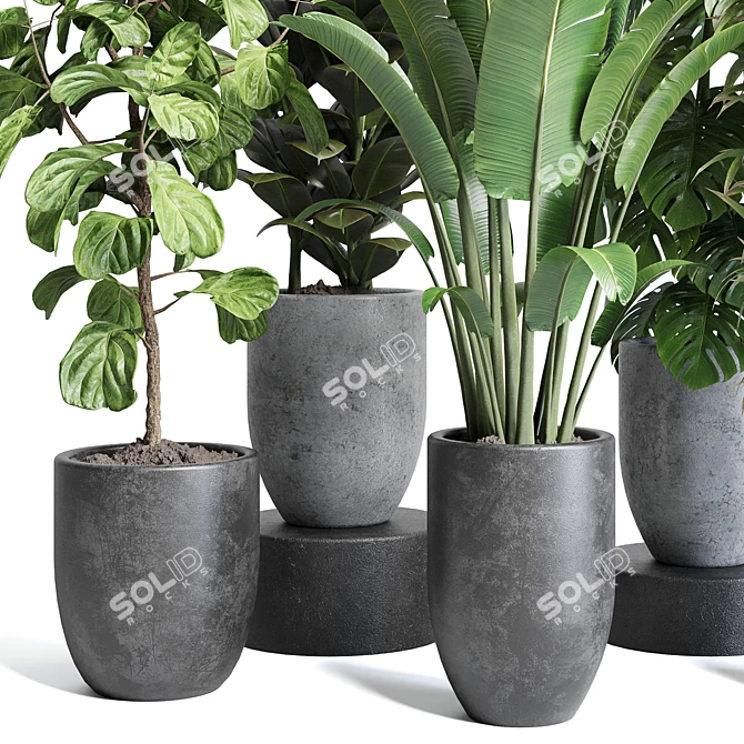 129 Concrete Pot Plant Collection 3D model image 2