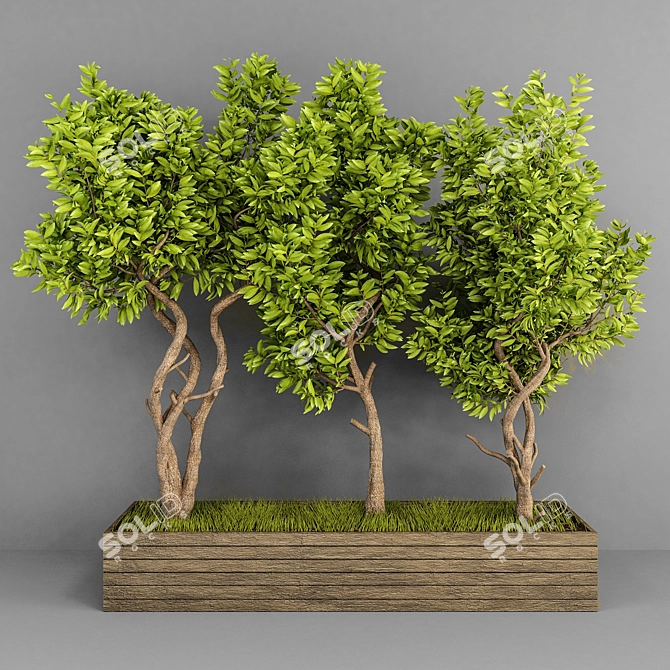 Outdoor Plant Collection Vol. 10 3D model image 3