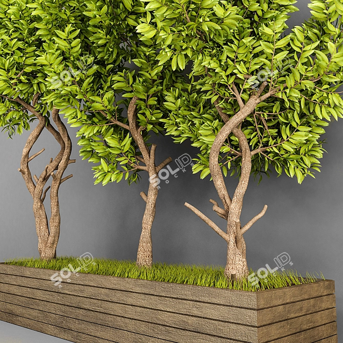 Outdoor Plant Collection Vol. 10 3D model image 1