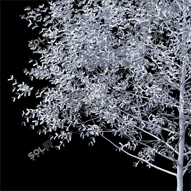 3D Tree Corona Render - High Poly 10m 3D model image 3