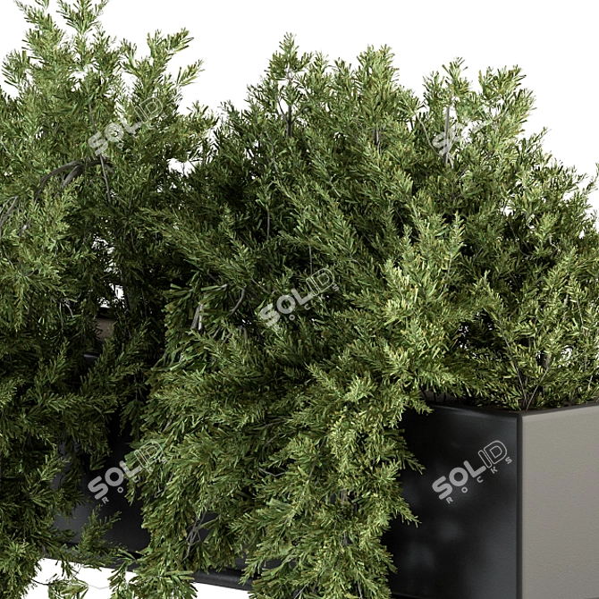 Ultimate Indoor Plant Box Set 3D model image 3