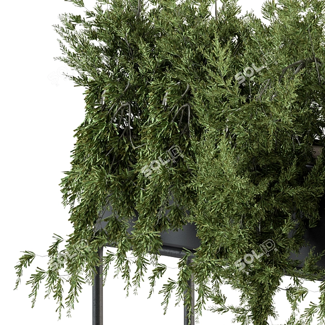 Ultimate Indoor Plant Box Set 3D model image 4