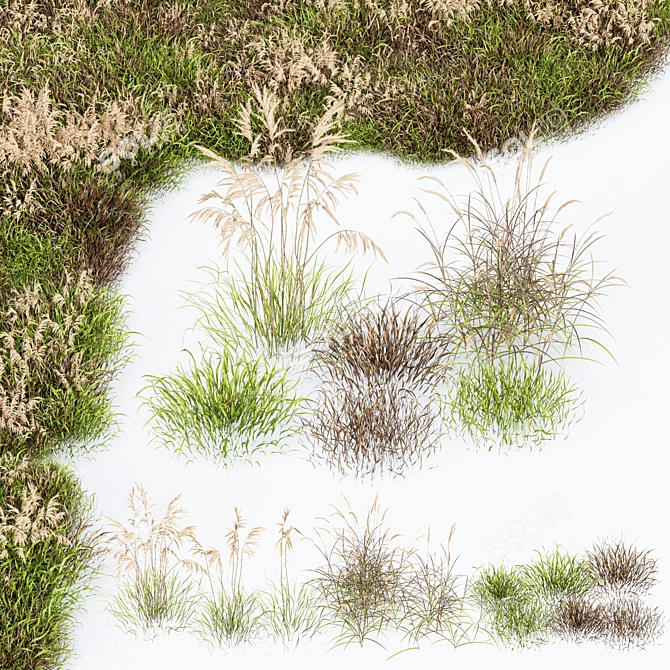 GrassPro Set: Realistic 3D Dry Grass 3D model image 1