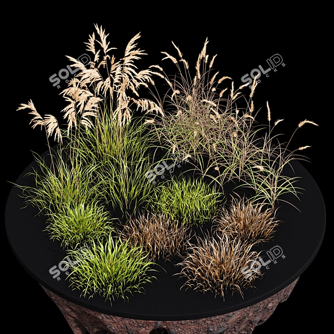 GrassPro Set: Realistic 3D Dry Grass 3D model image 2