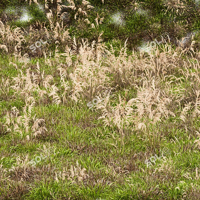 GrassPro Set: Realistic 3D Dry Grass 3D model image 4