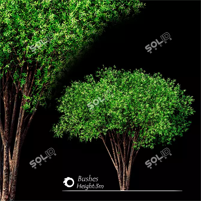 Corona Tree Render - High-Quality 3D Model 3D model image 1