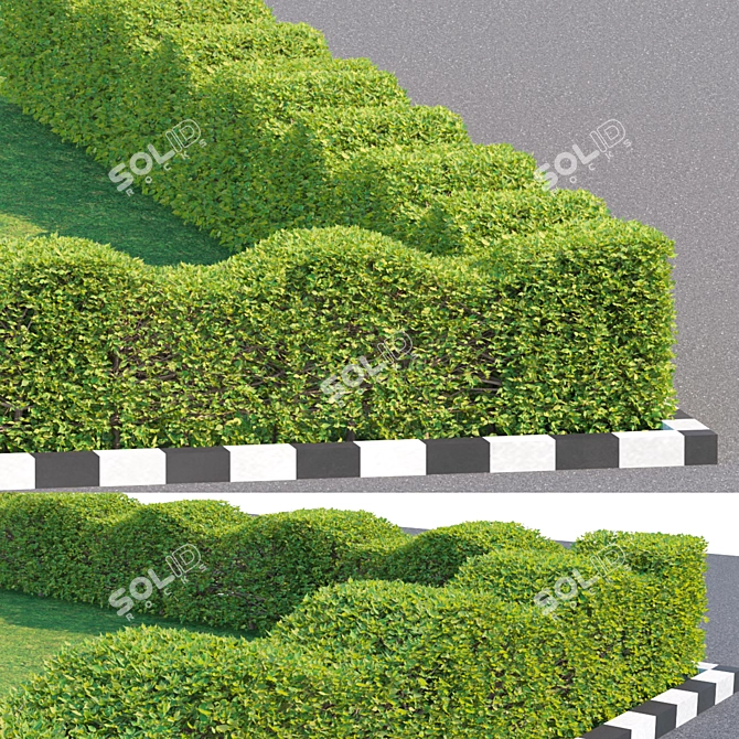 Versatile Outdoor Bush Collection 3D model image 2