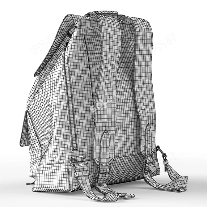 Versatile Travel Backpack 3D model image 7