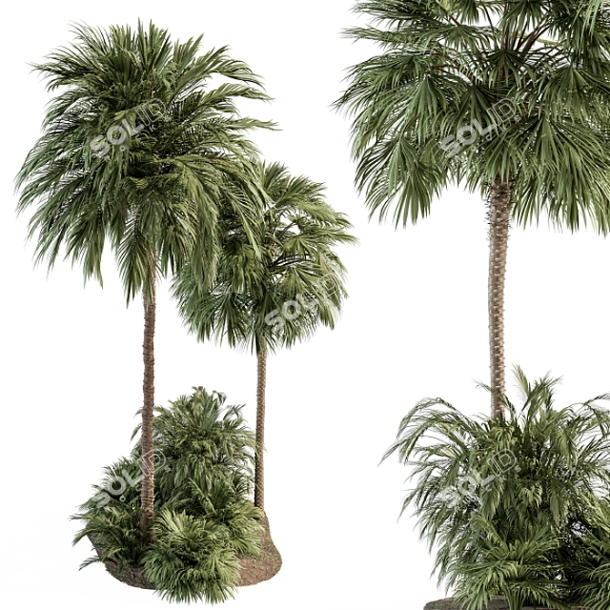 Tropical Oasis Garden Set 3D model image 2
