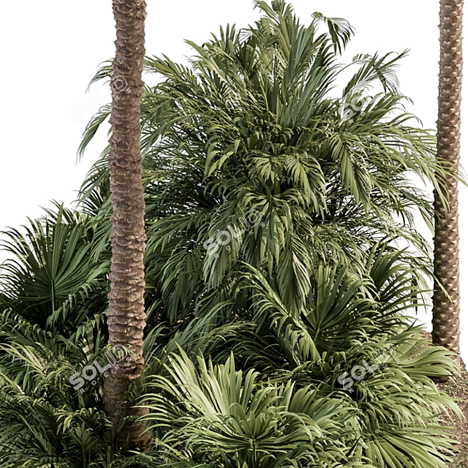 Tropical Oasis Garden Set 3D model image 6