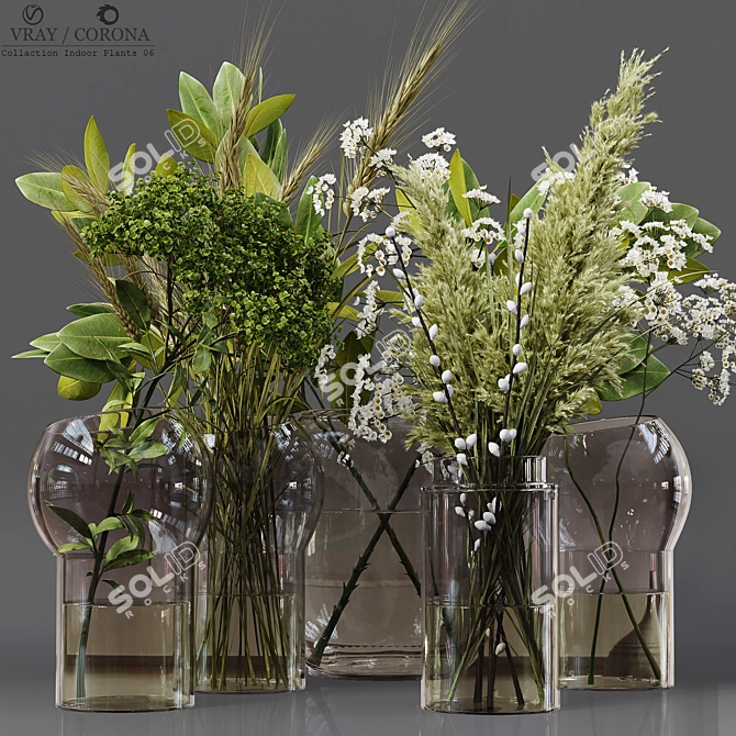 Collaction Indoor Plant Set 3D model image 1