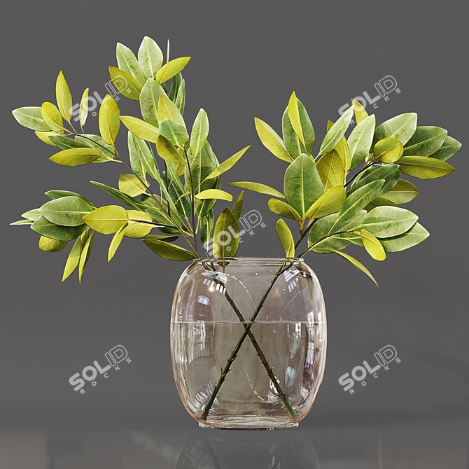 Collaction Indoor Plant Set 3D model image 2