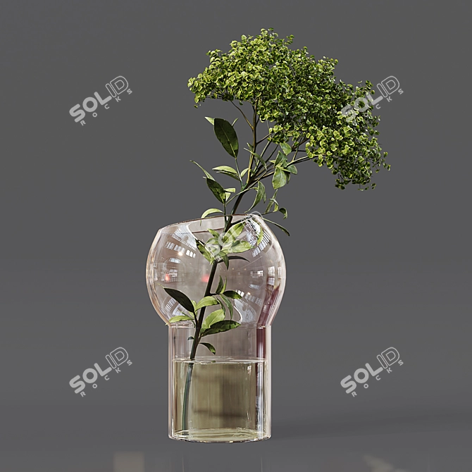 Collaction Indoor Plant Set 3D model image 5