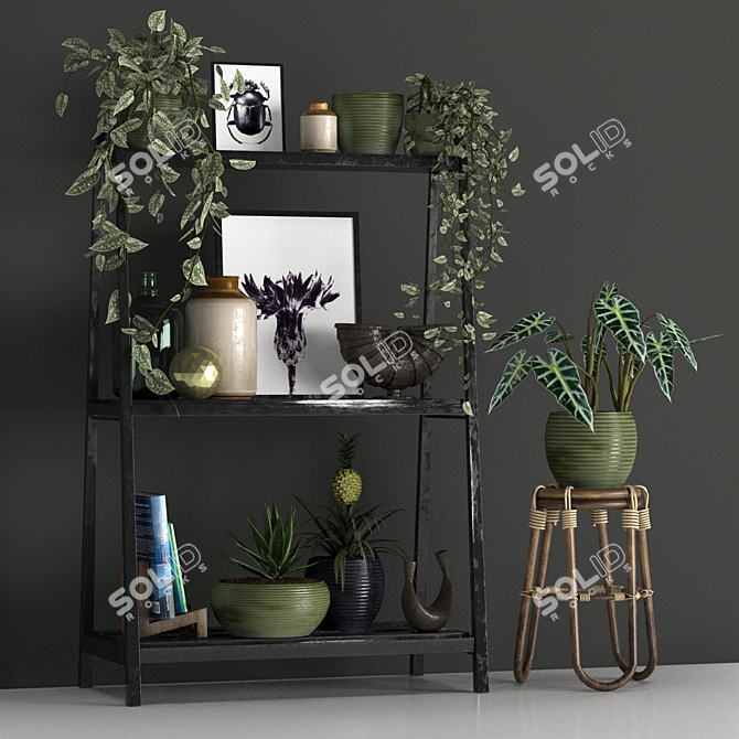 Lush Foliage Decor Set 3D model image 2