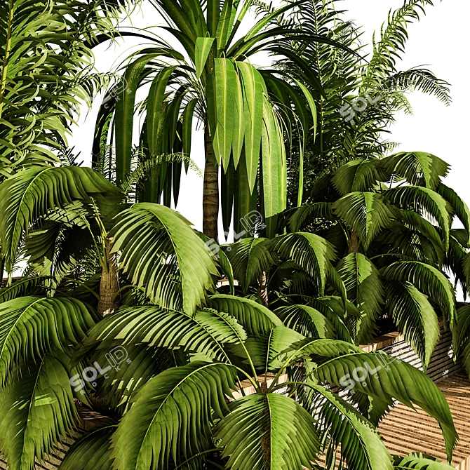 Outdoor Plant Collection - Volume 11 3D model image 3