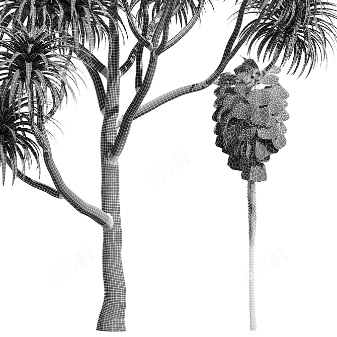 Tangihua Northland Mex. Fan Palm: 4K Texture, Multiple Models & Render Engines 3D model image 6