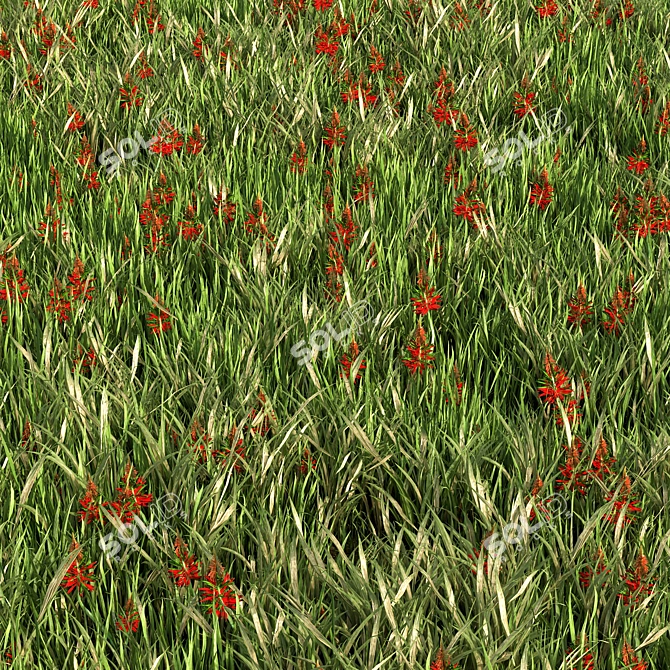 Versatile Grass Collection for Stunning Landscapes 3D model image 1