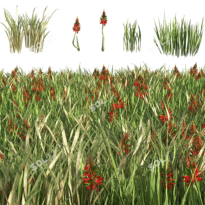 Versatile Grass Collection for Stunning Landscapes 3D model image 2