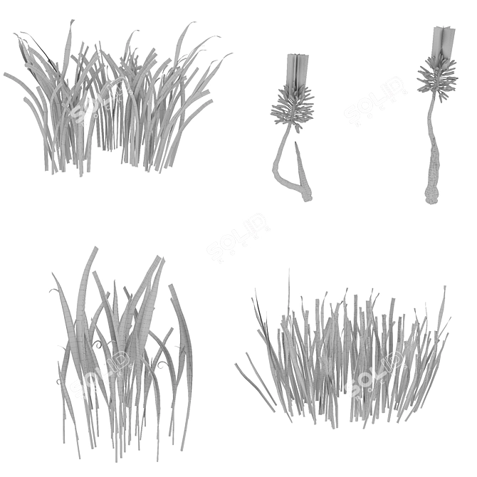 Versatile Grass Collection for Stunning Landscapes 3D model image 3