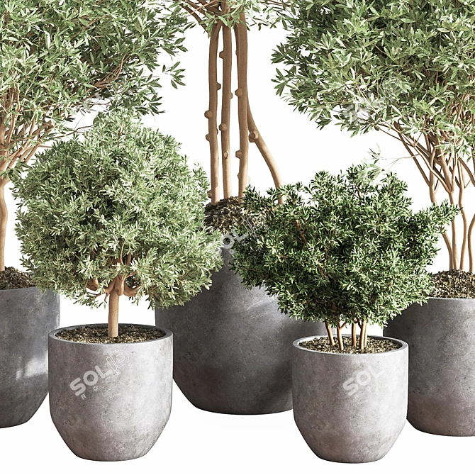 Cascading Greenery Indoor Plant Set 3D model image 4