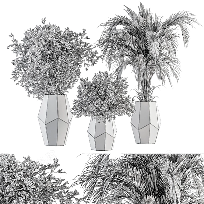 304 Indoor Plant Set: Potted Greenery 3D model image 4