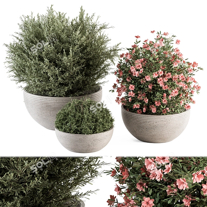 Lush Greenery Bundle - Gray Pot 3D model image 1