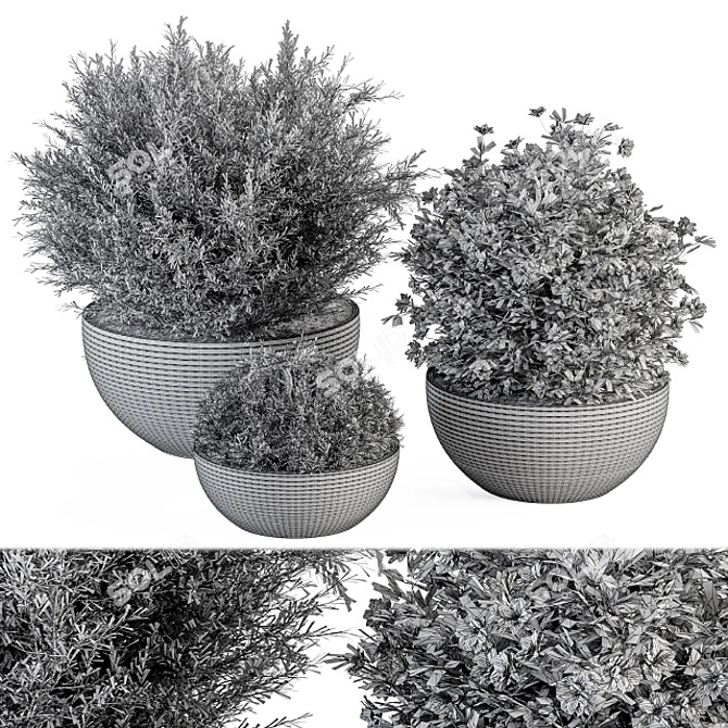 Lush Greenery Bundle - Gray Pot 3D model image 4