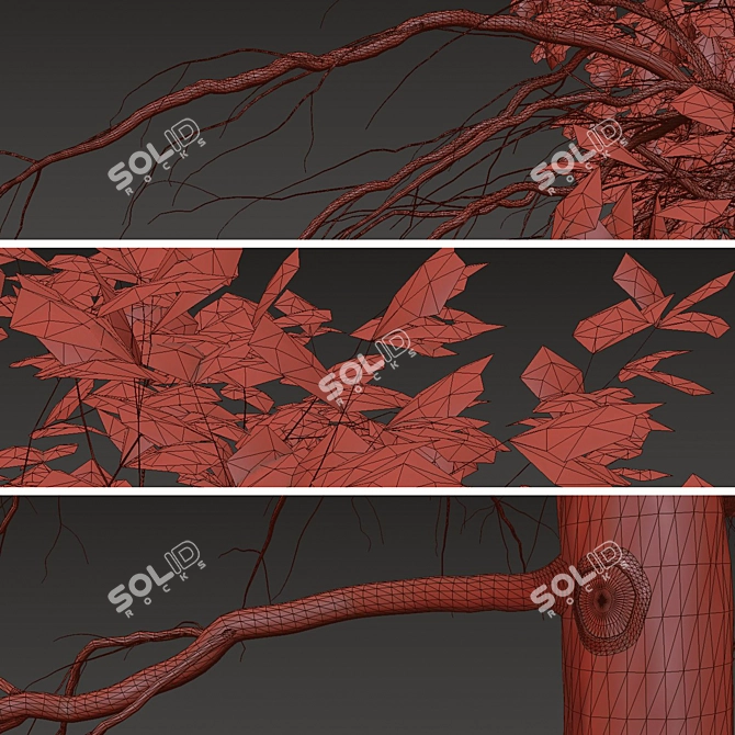 Acer Buergerianum Set: Trident Maple (2 Trees) 3D model image 5