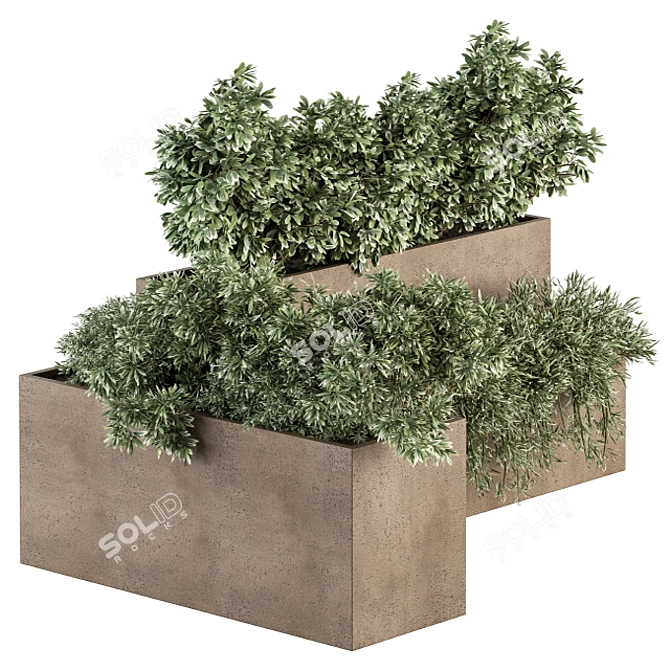 Concrete Plant Box Set 3D model image 2