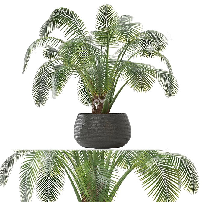 Indoor Oasis Collection - Set 0094 3D model image 1