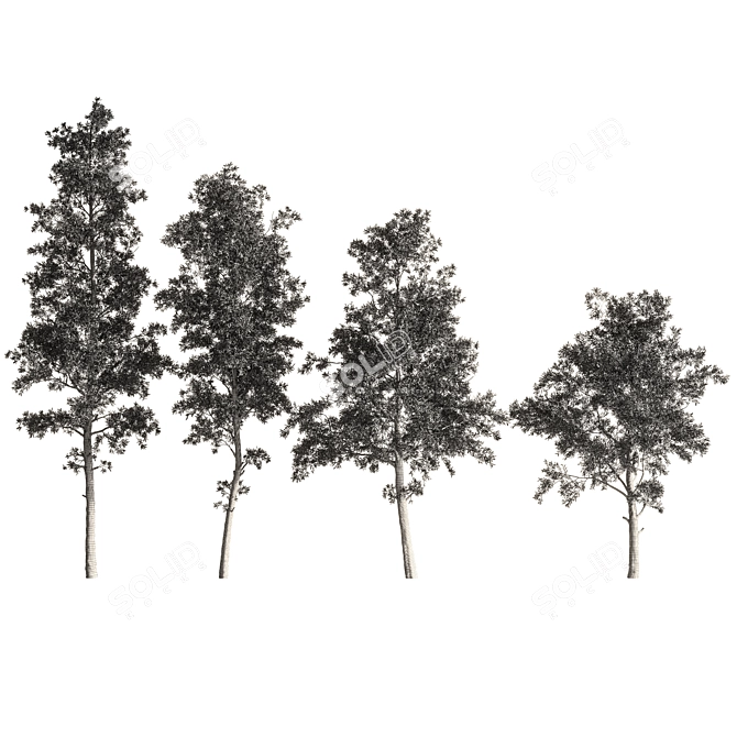 Eucalyptus Forest Pack - CG Trees for V-Ray 3D model image 4