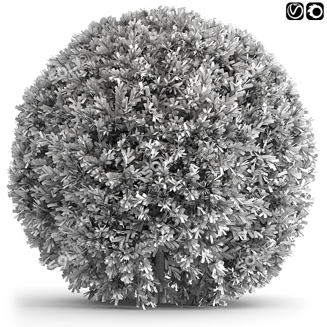 Sleek Spherical Bushes 3D model image 3