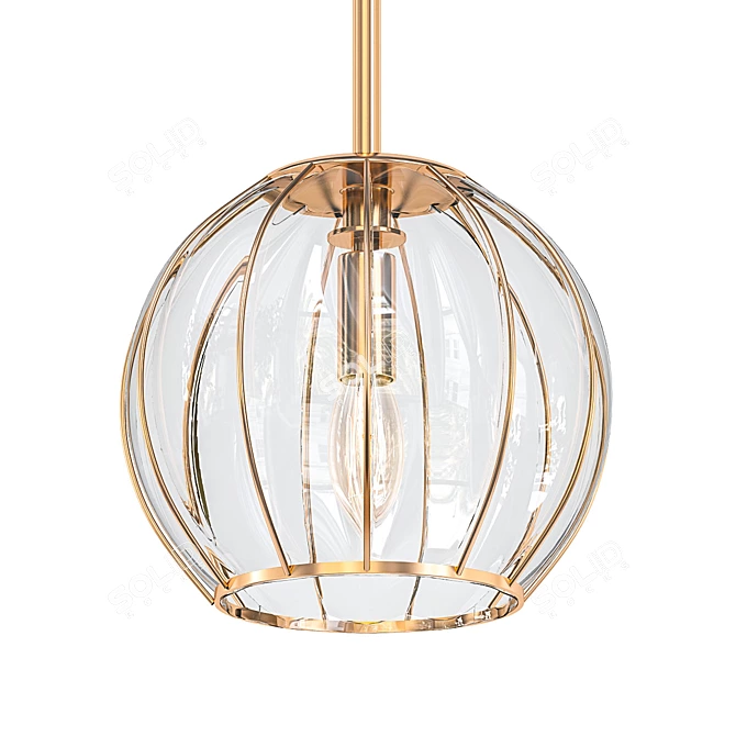 Elegant Cage Glass Pendant 3D model image 1