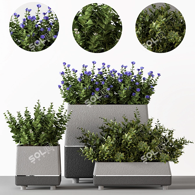 Title: Concrete Pot Outdoor Bushes 3D model image 2